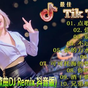 最好的音乐Chinese DJ | 最佳Tiktok混音音樂 Chinese Dj Remix 2023 《点歌的人 ♪ 你莫走 ♪ 别知己 ♪ 不过人间 ♪...》2023 年最劲爆的DJ歌曲